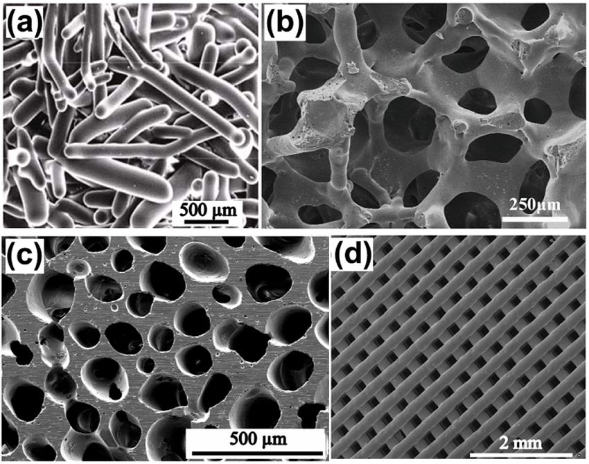 micro%20structure%20bioactive